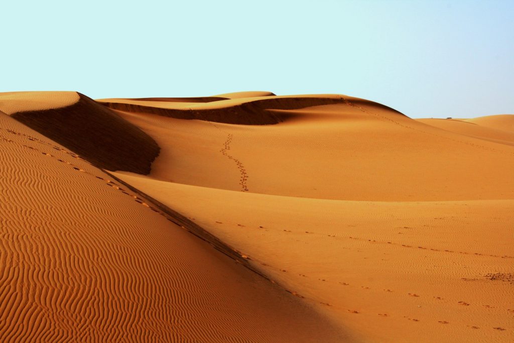 Traversée Initiatique du Desert